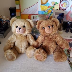 Two Mini Plush Bears